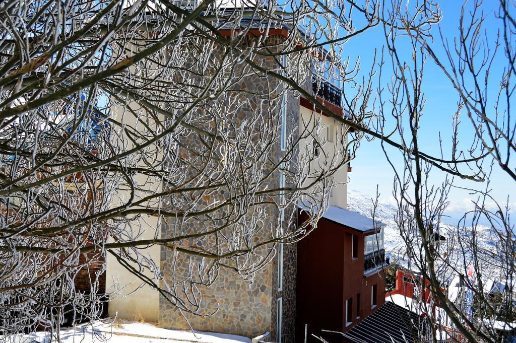 Sierra Nevada Rent Superior Serra Nevada Exterior foto